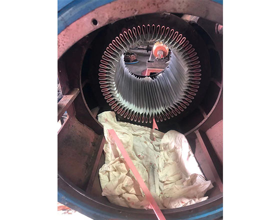 高壓大型電機(jī)維修